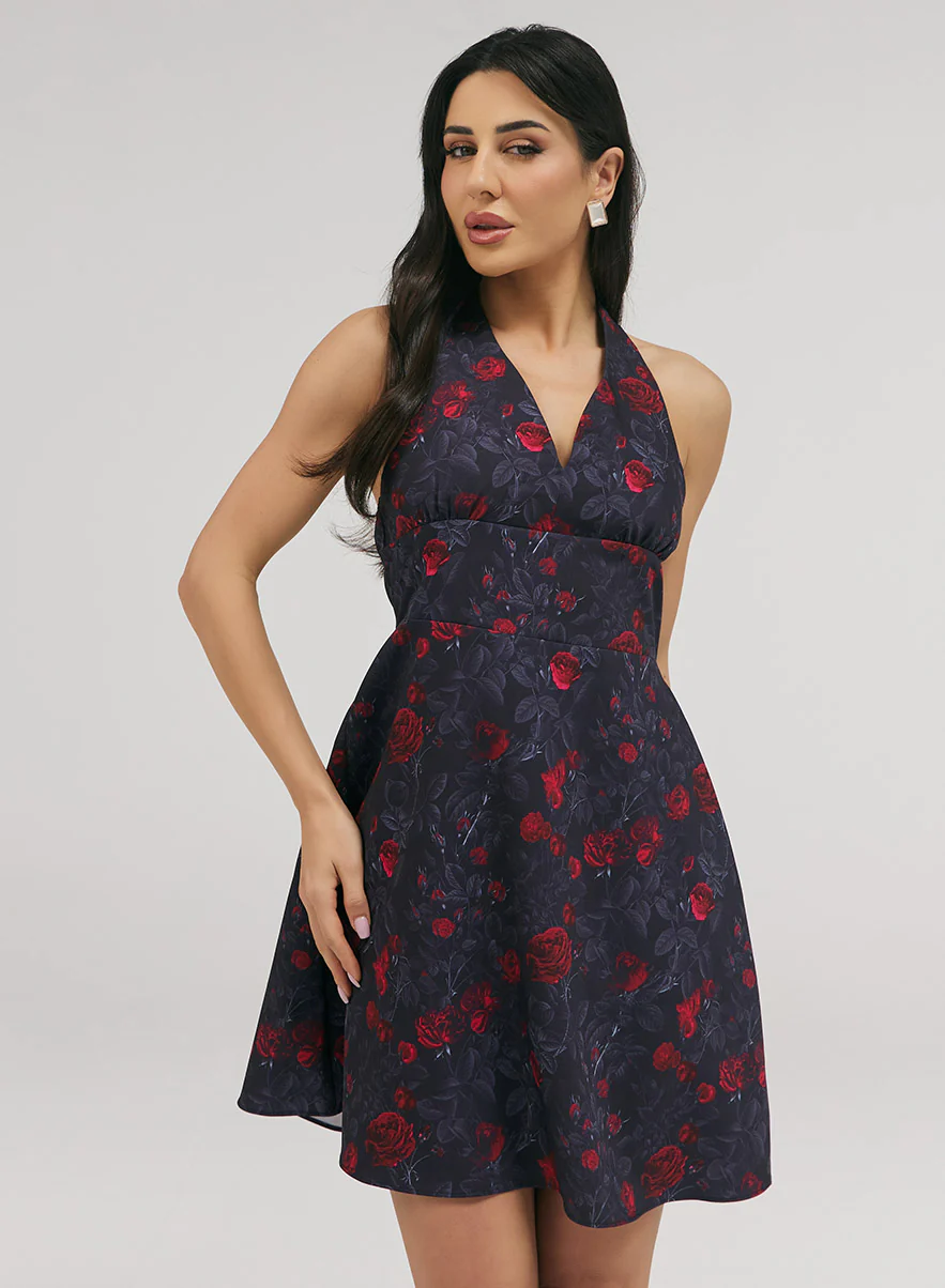 Halter With A Tie Neck Printed Dress