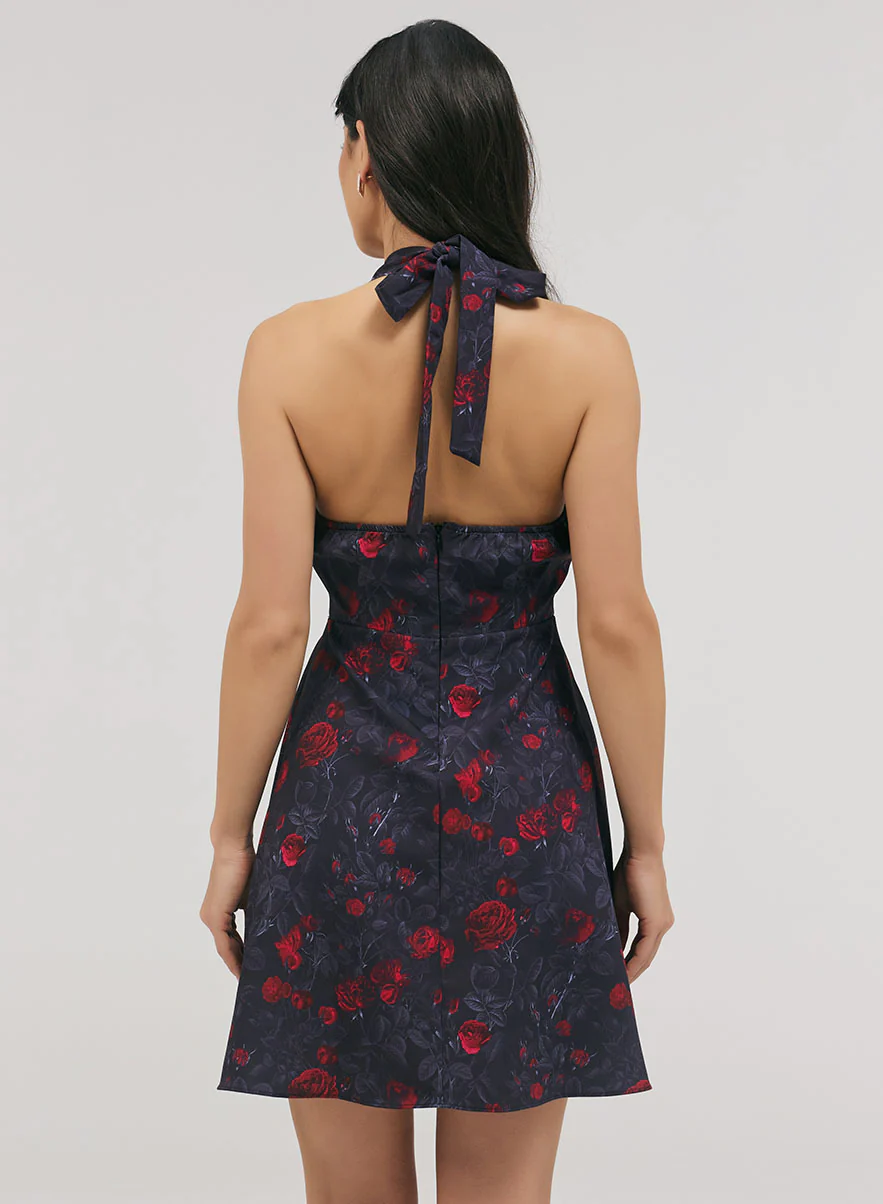 Halter With A Tie Neck Printed Dress - Image 4