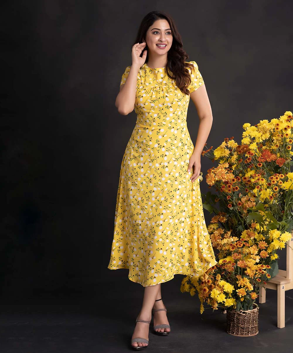 Printed Neck Curve Paneled Dress